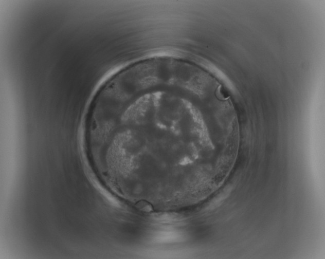 X0000113850991200909241244