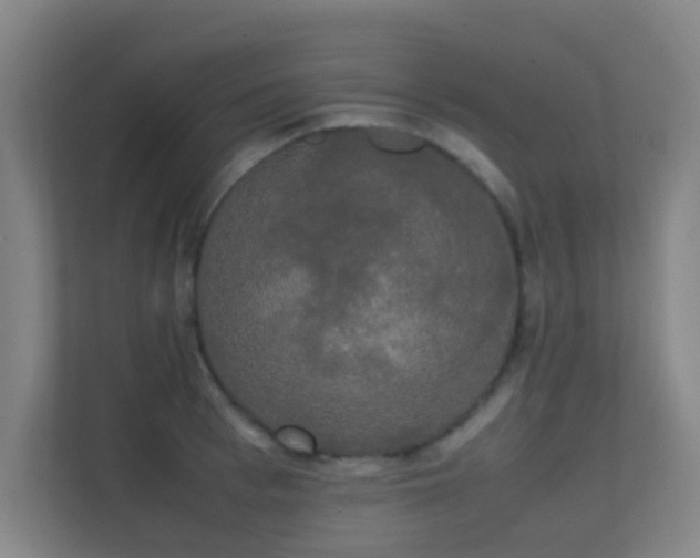 X0000113850993200909241244