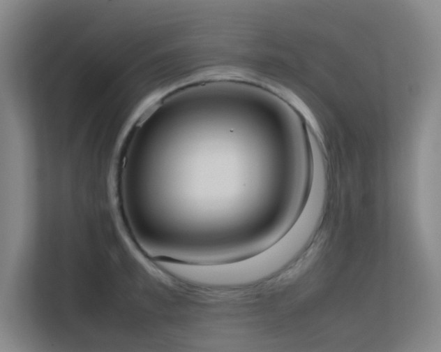 X0000113850997200909241243