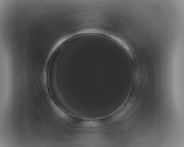 X0000113850998200909241243