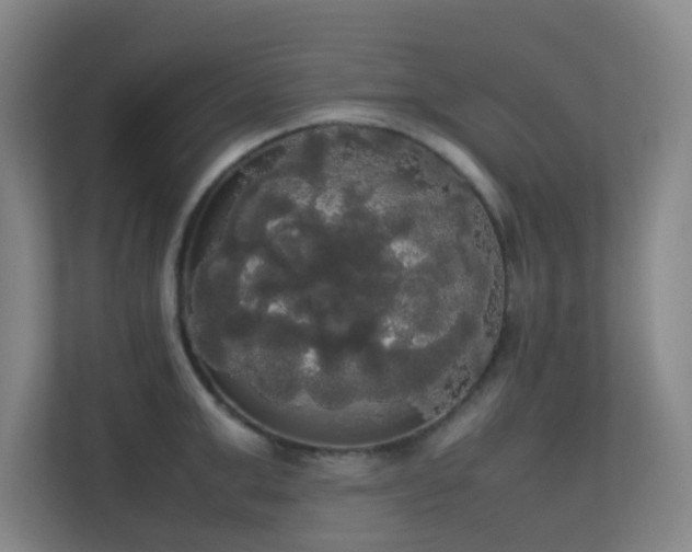 X0000113850999200909241243