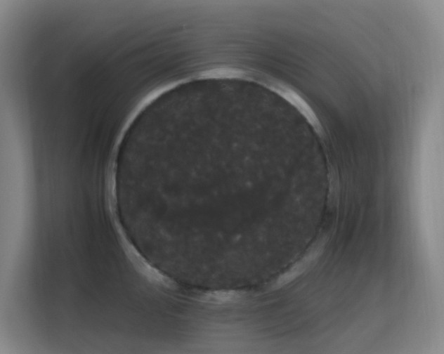 X0000113851000200909241243