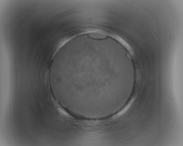 X0000113851001200909241243