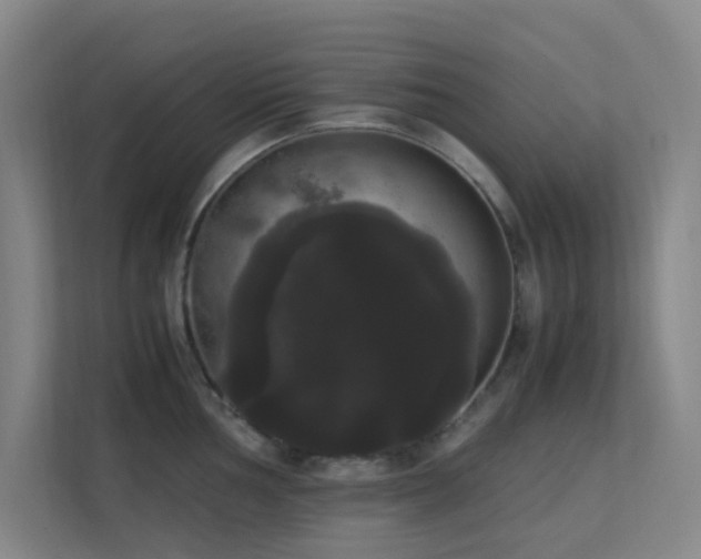 X0000113851002200909241243