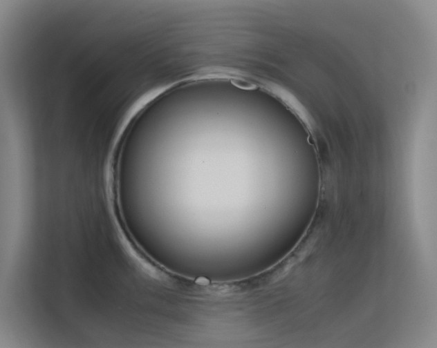 X0000113851003200909241243