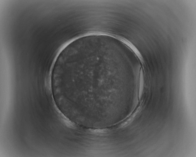 X0000113851004200909241243