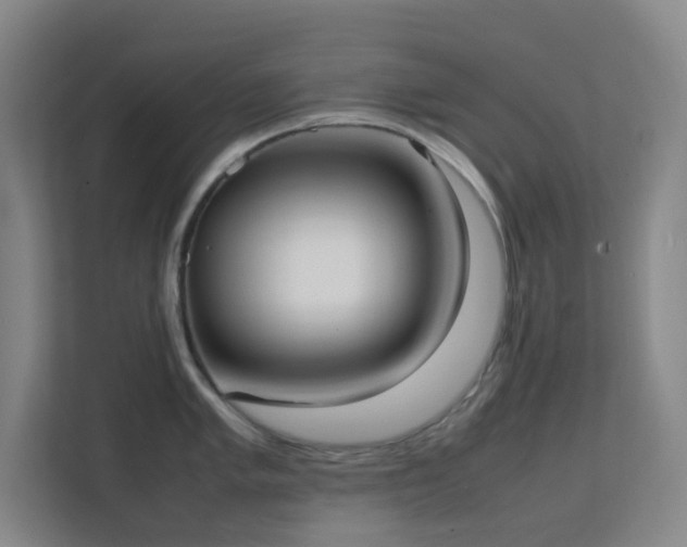 X0000113851005200909241243