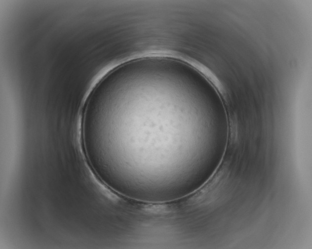 X0000113851006200909241243