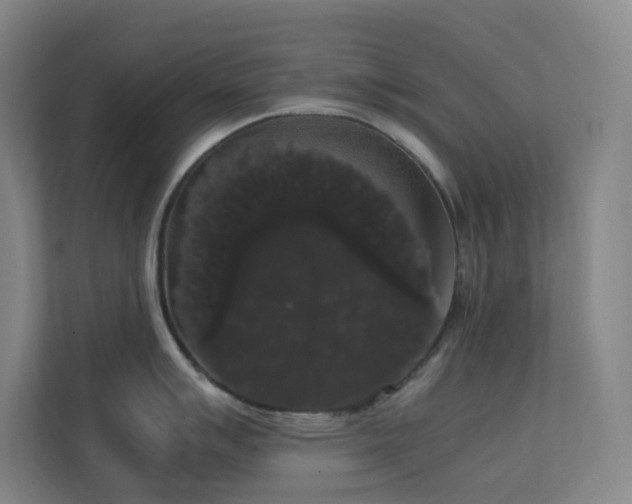 X0000113851007200909241243