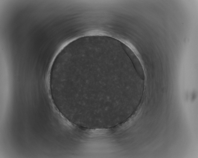 X0000113851008200909241243