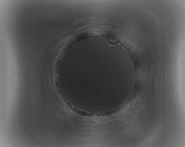 X0000113851009200909241243