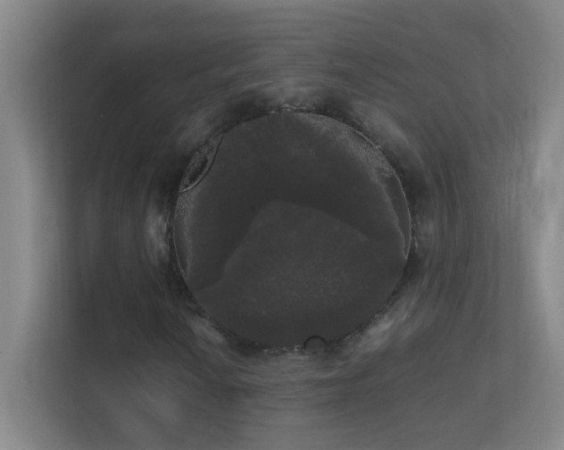 X0000113851010200909241243