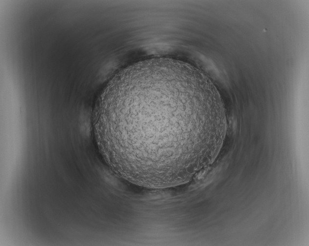 X0000113851012200909241243