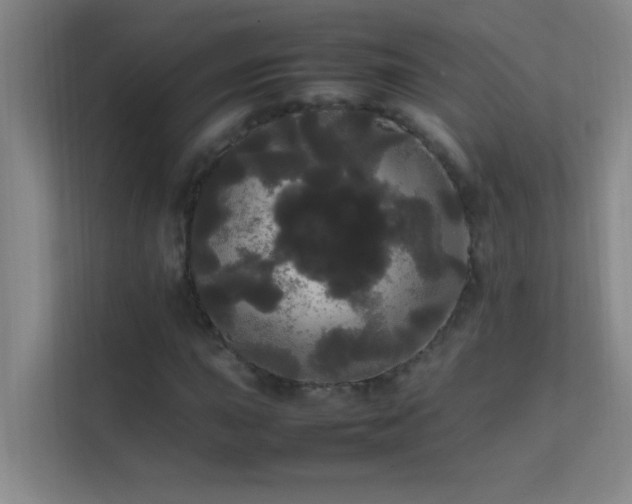 X0000113851015200909241243