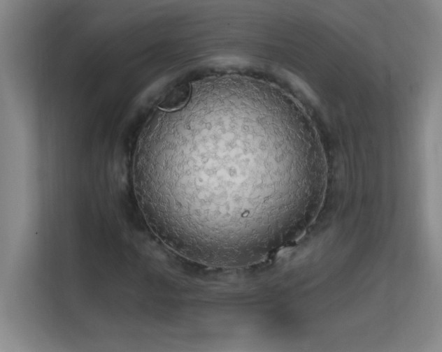 X0000113851016200909241243