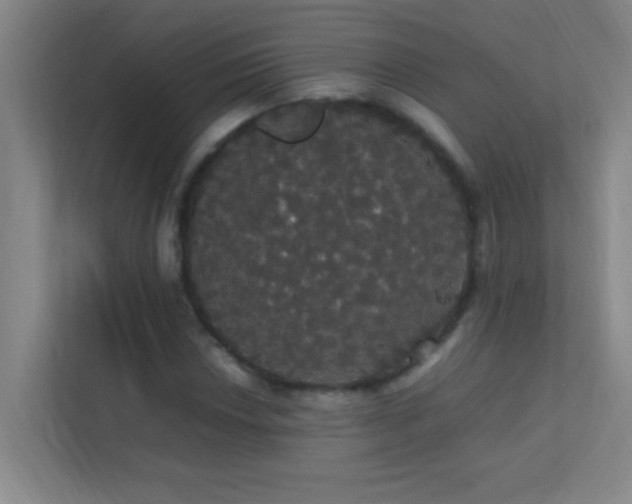 X0000113851018200909241243