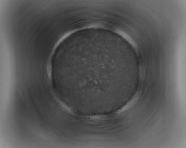 X0000113851021200909241243