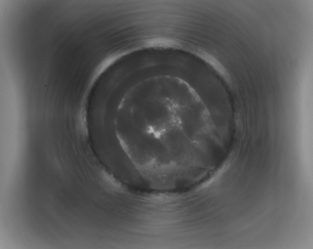 X0000113851022200909241243