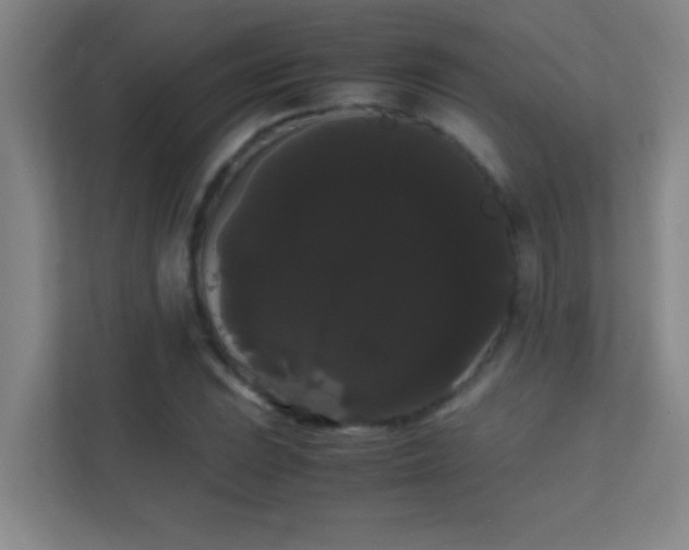 X0000113851023200909241243