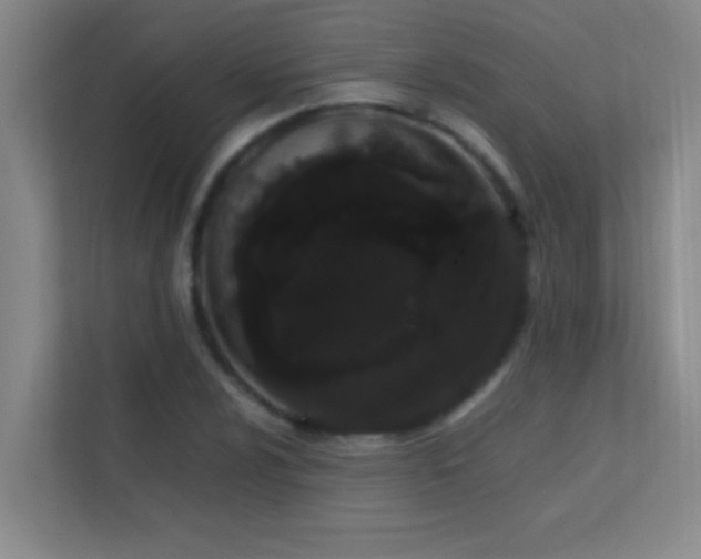 X0000113851024200909241243