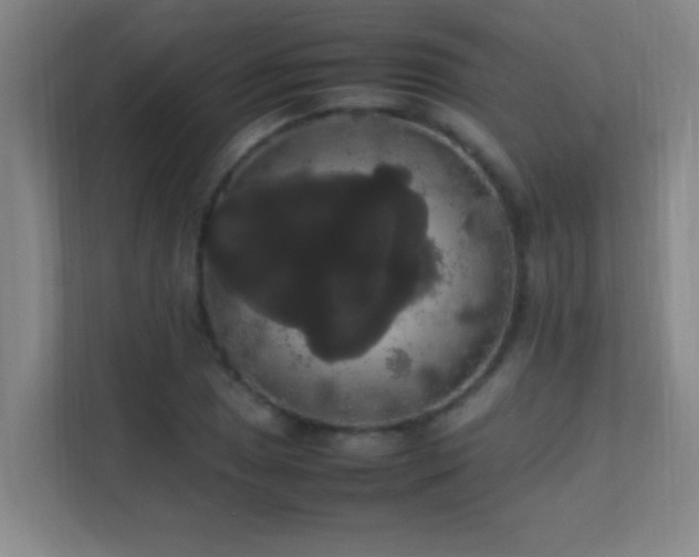 X0000113851025200909241243