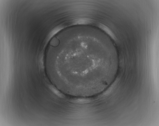 X0000113851026200909241243