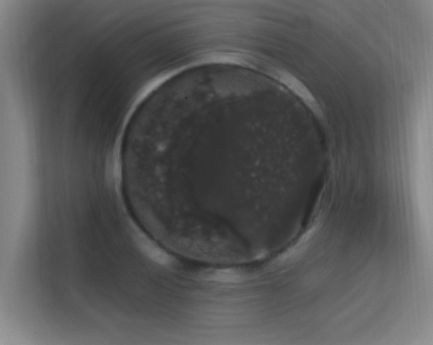 X0000113851028200909241243