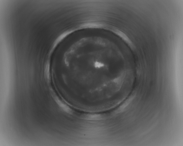 X0000113851030200909241243