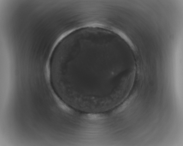 X0000113851032200909241243