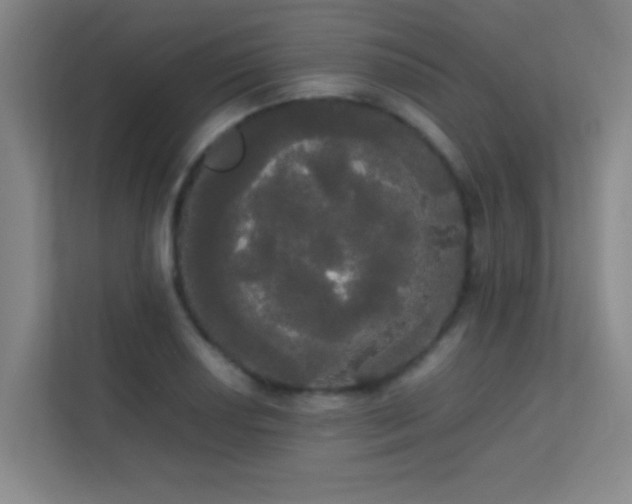 X0000113851034200909241243