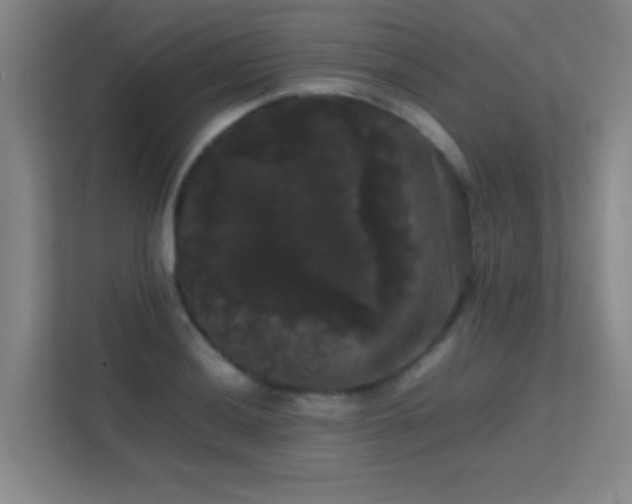 X0000113851036200909241243