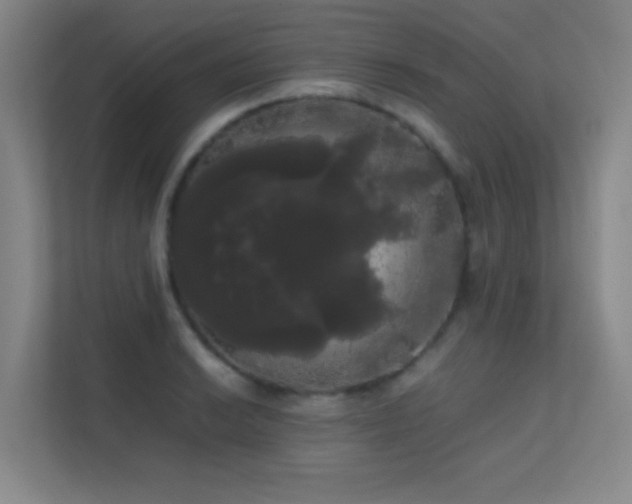 X0000113851038200909241243