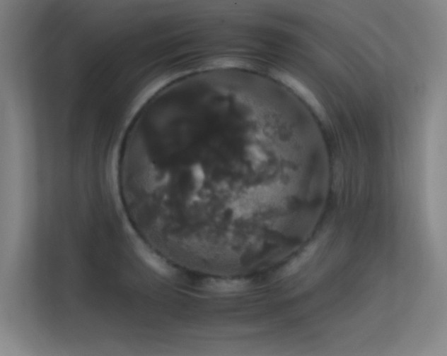 X0000113851039200909241243