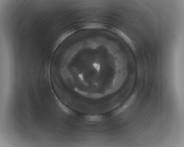 X0000113851041200909241243