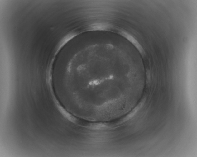 X0000113851042200909241243