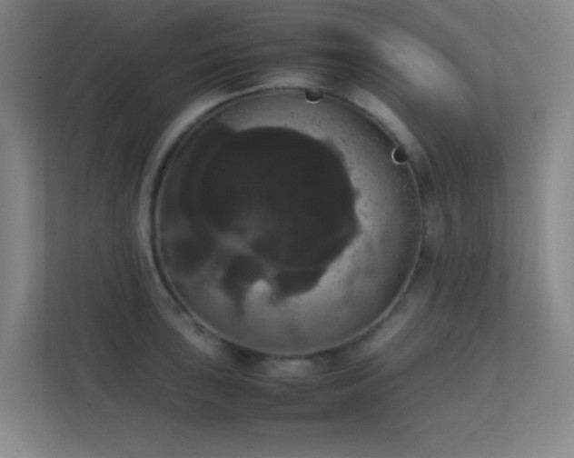 X0000113851043200909241243