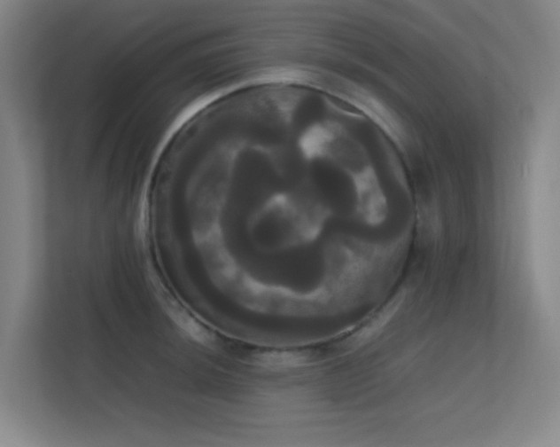 X0000113851044200909241243