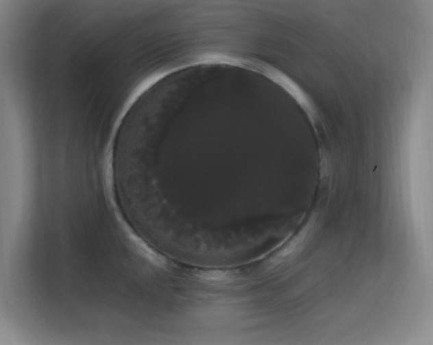 X0000113851048200909241243