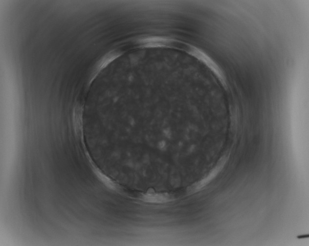 X0000113851049200909241243