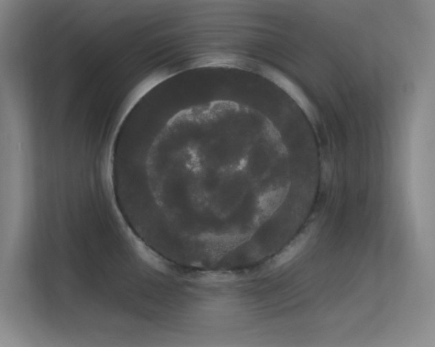 X0000113851050200909241243