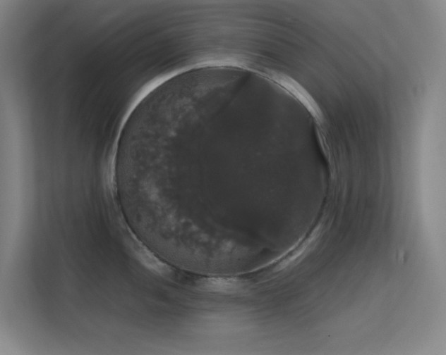 X0000113851052200909241243