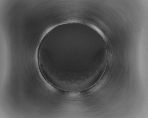 X0000113851055200909241243