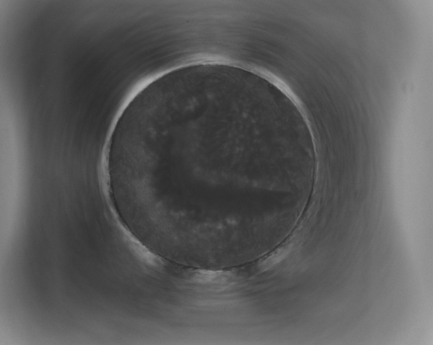 X0000113851056200909241243