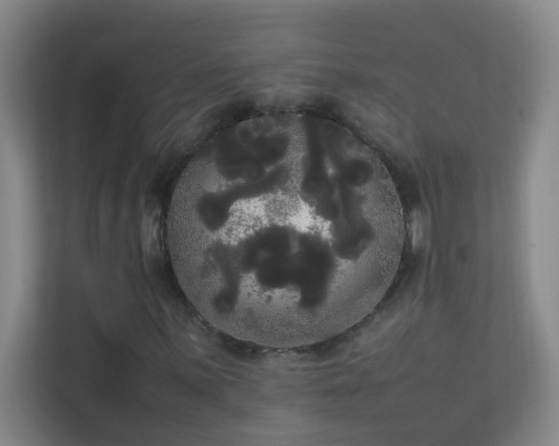 X0000113851059200909241243