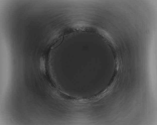 X0000113851060200909241243