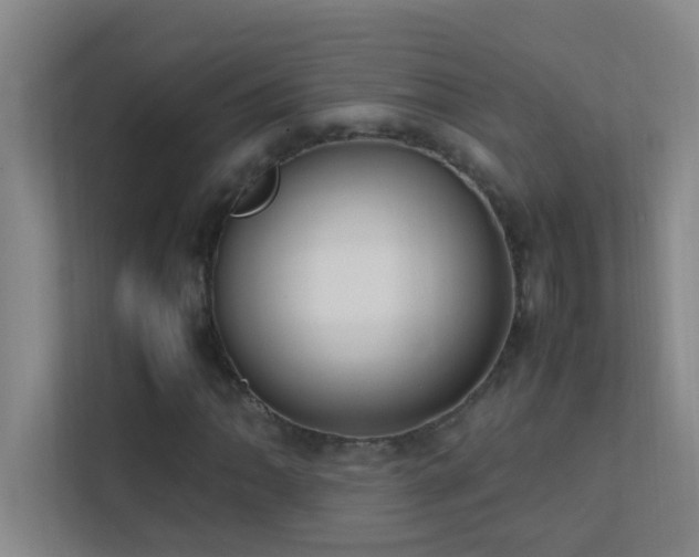 X0000113851062200909241243