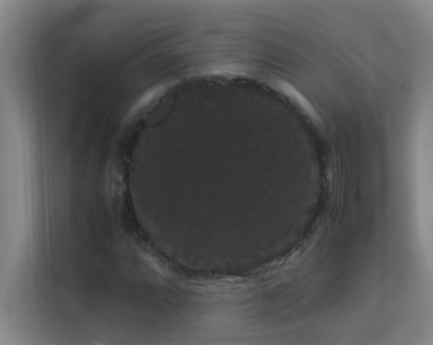 X0000113851064200909241243