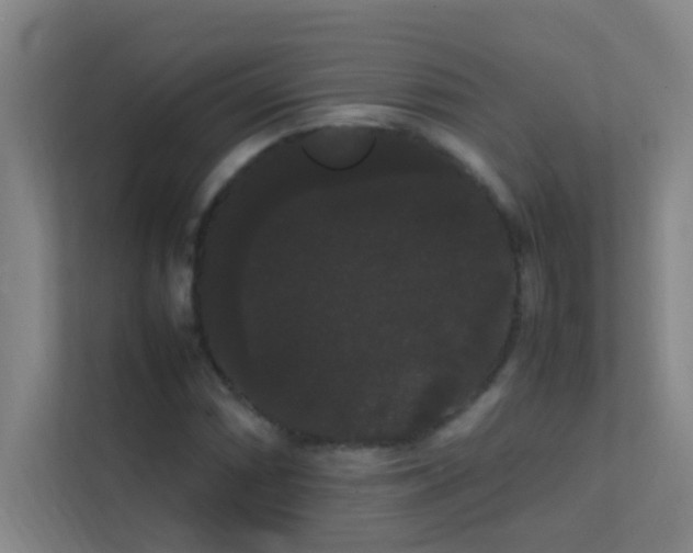 X0000113851066200909241243