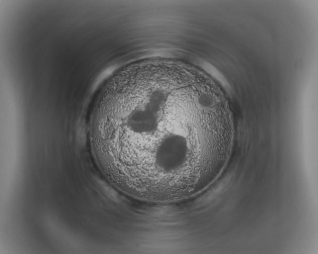 X0000113851067200909241243