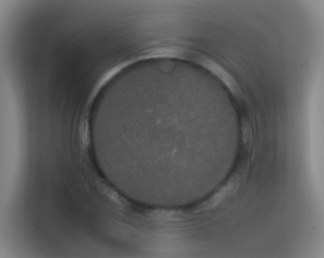 X0000113851069200909241243